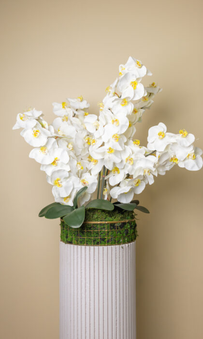 Ivory Orchid Elegance - Artificial Flowers