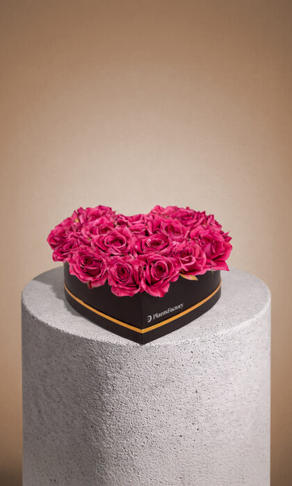 Rosé Heart Luxe Box - Artificial Flowers