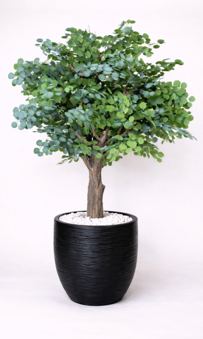 Artificial Eucalyptus Tree 220cm