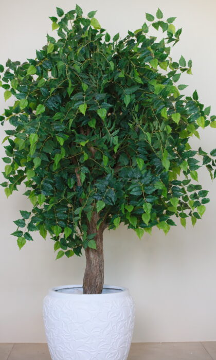 Artificial Ficus Tree 185cm