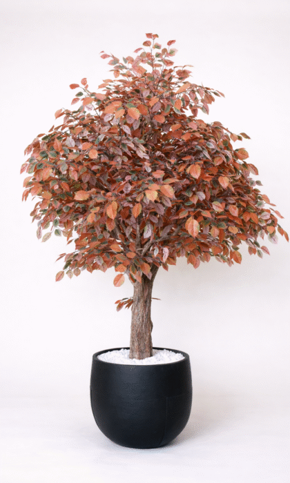 Artificial Eucalyptus Tree 220cm