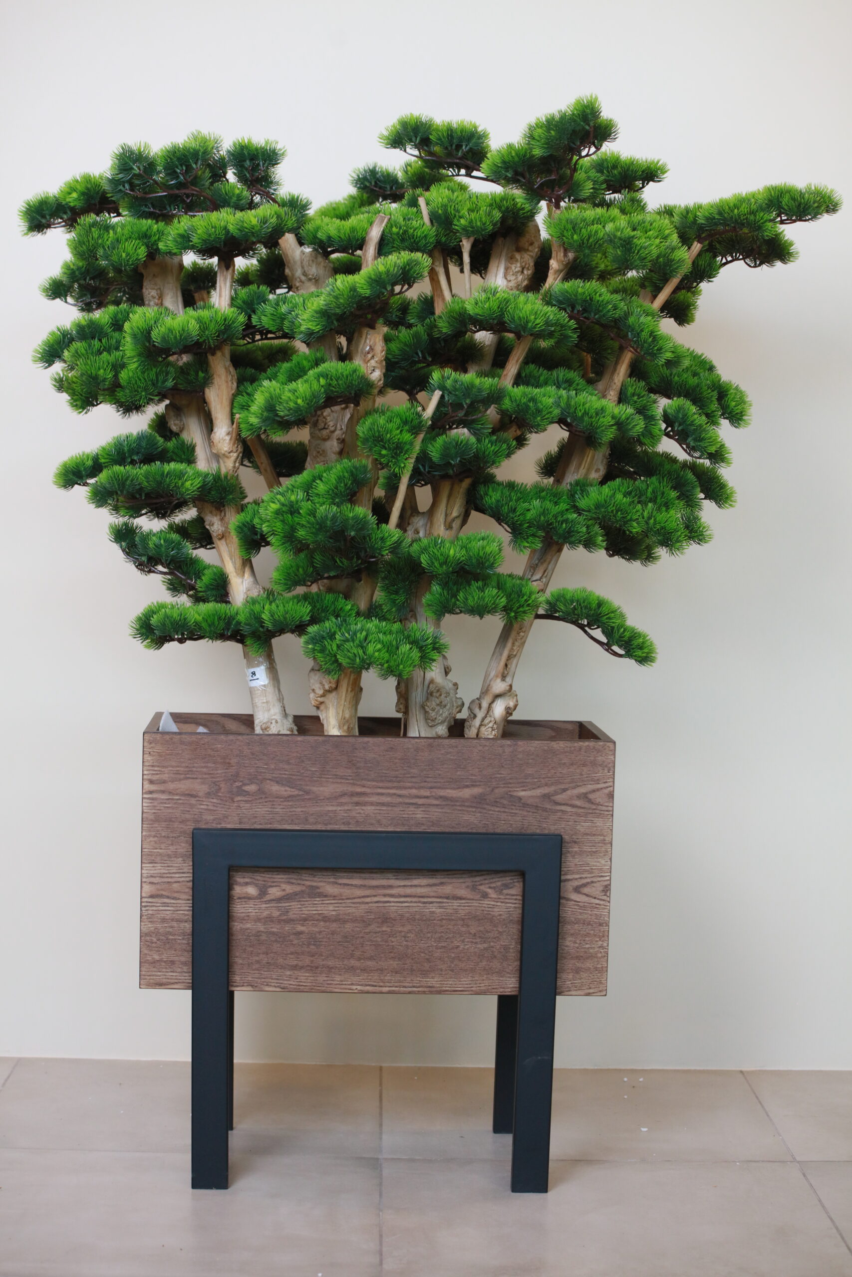 Struggling to Keep Your Indoor Plants Alive in Dubai? 5 Simple Tips That Help