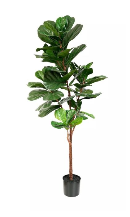 Artificial Ficus Lyrata