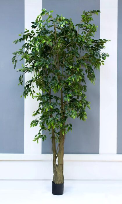 Artificial Ficus Benjamina Weeping fig 300cm
