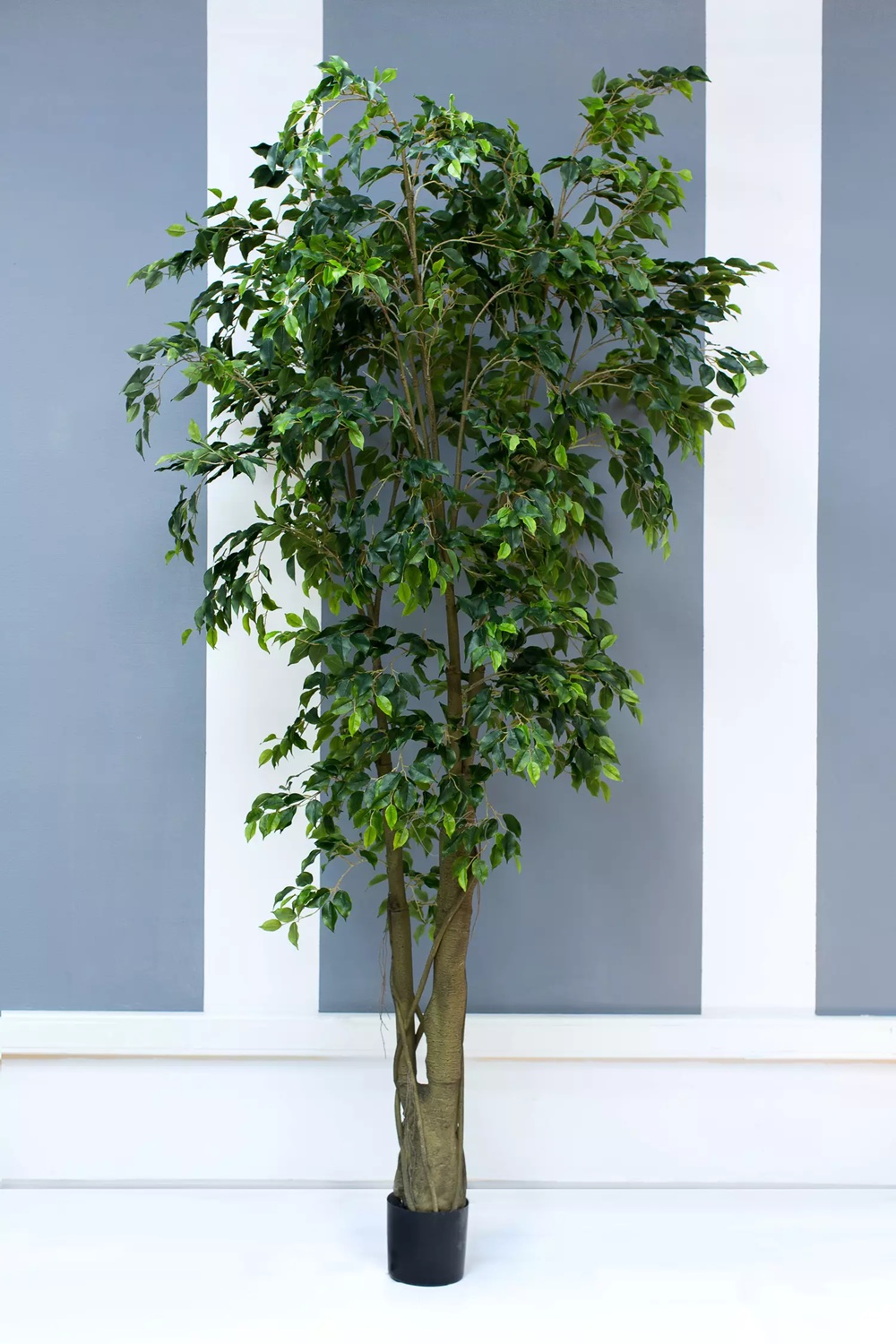 Artificial Ficus Benjamina Weeping fig 300cm