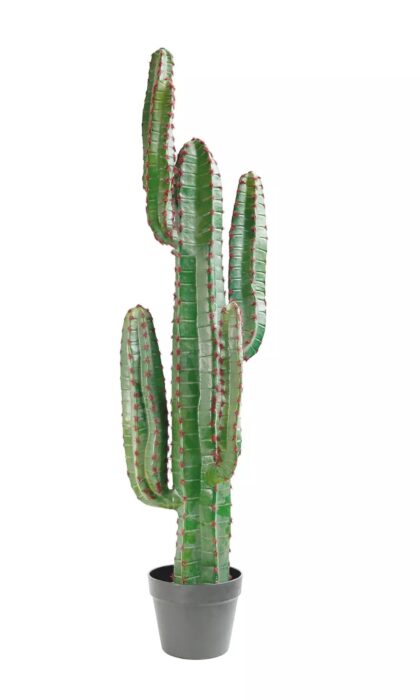 Cactus Cereus medium 115cm (with red needles) - green