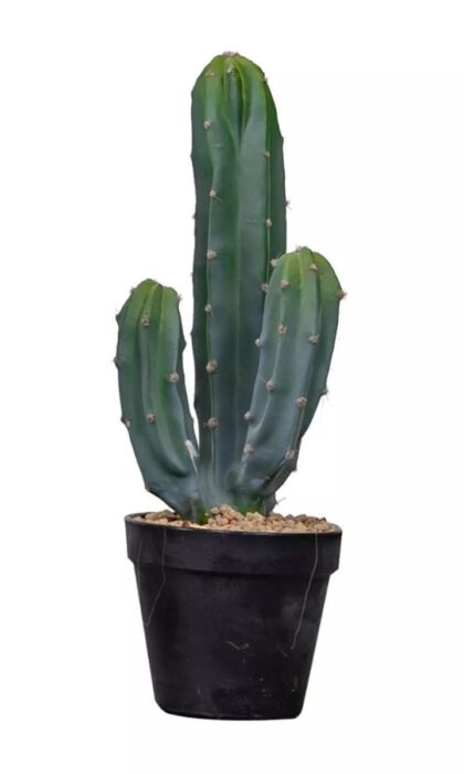Cactus Cereus Mexican 39cm