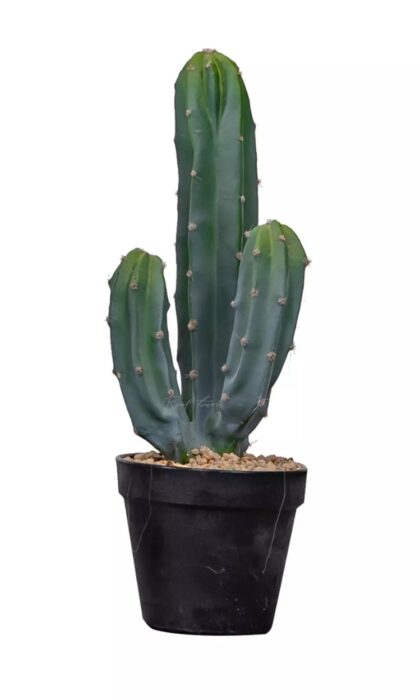 Cactus Cereus Mexican 39cm