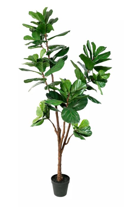 Artificial Ficus Lyrata
