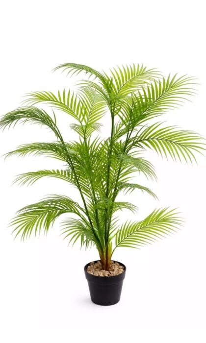 Areca Palm 125cm