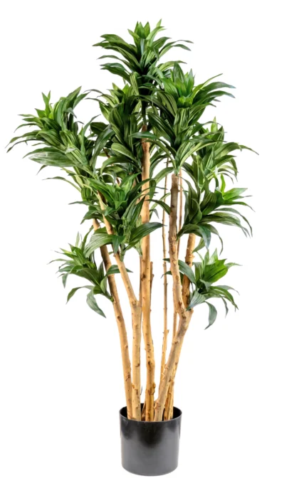 Artificial Dracaena Fragrans Tree 92cm