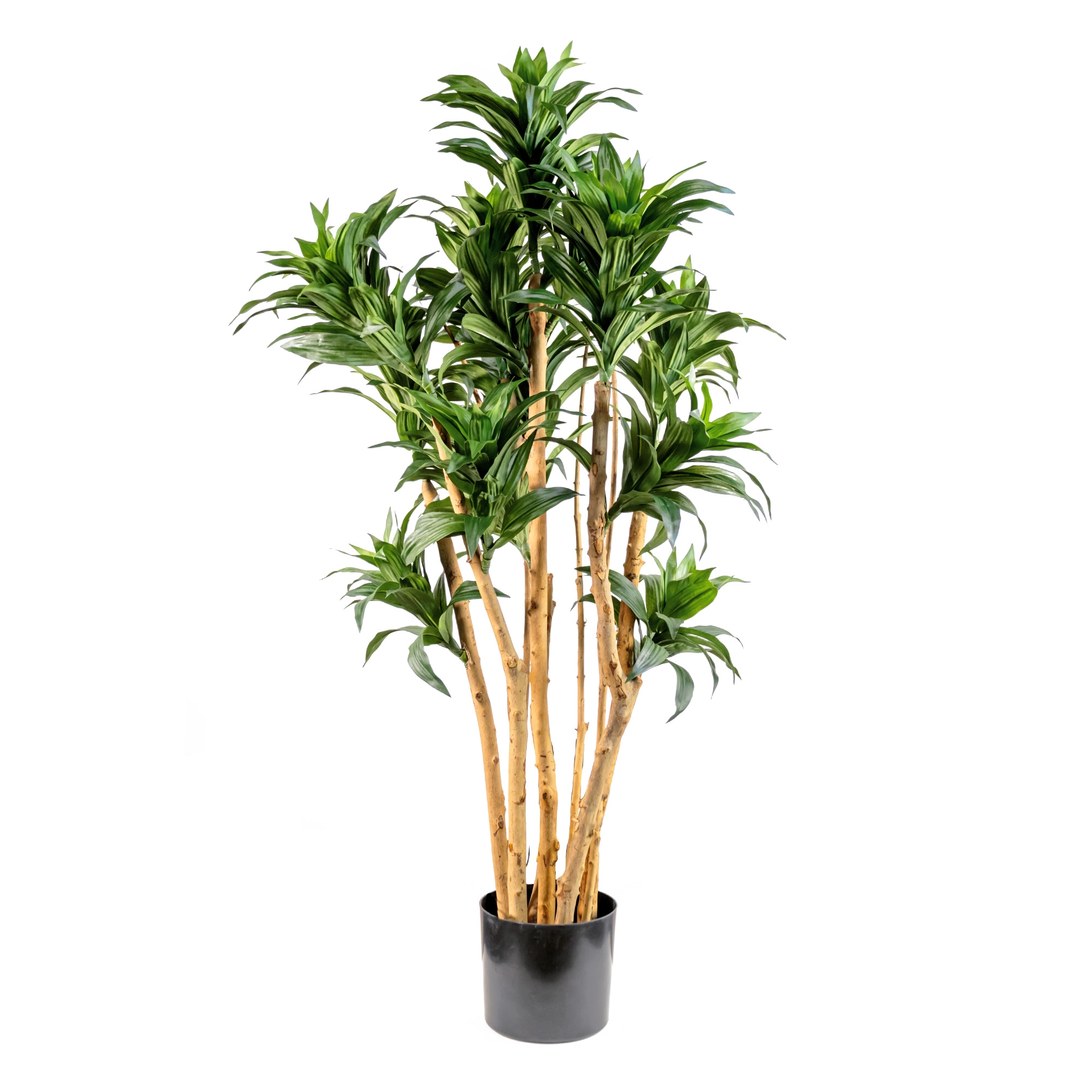 Artificial Dracaena Fragrans Tree 92cm