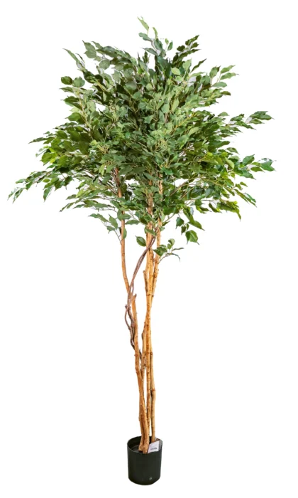 Artificial Ficus Exotica 220 cm