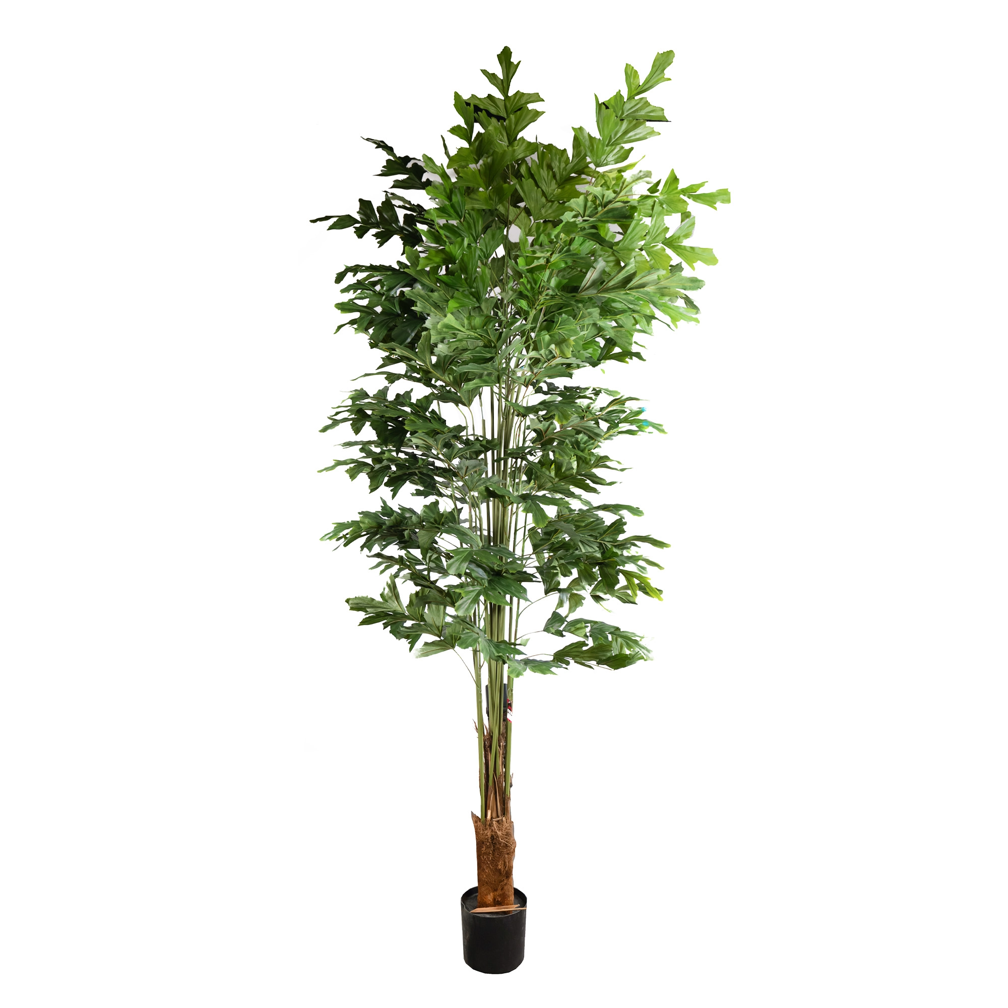 Artificial Fishtail Palm 183cm