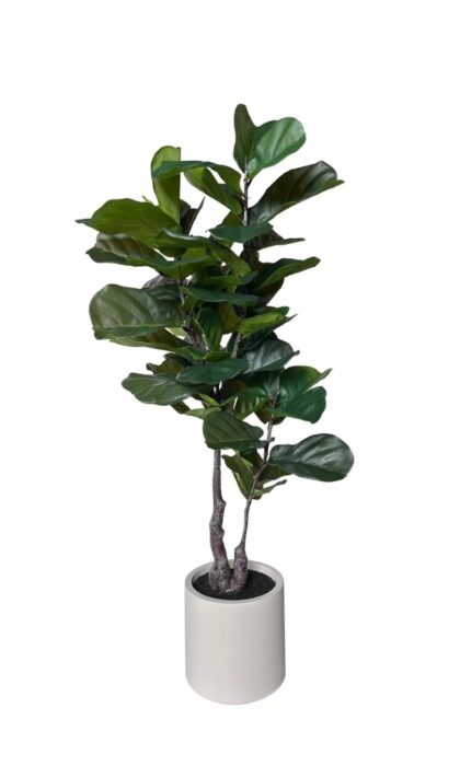 Artificial Ficus Lirata in a decorative pot 145cm