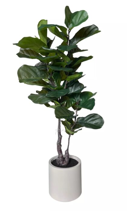 Artificial Ficus Lirata in a decorative pot 145cm
