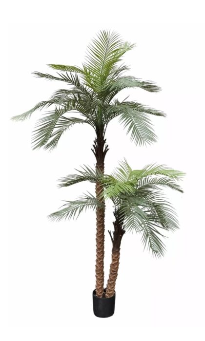Coconut palm 240cm - Green
