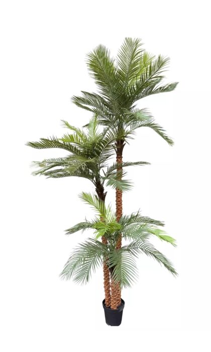 Coconut palm 300cm - Green