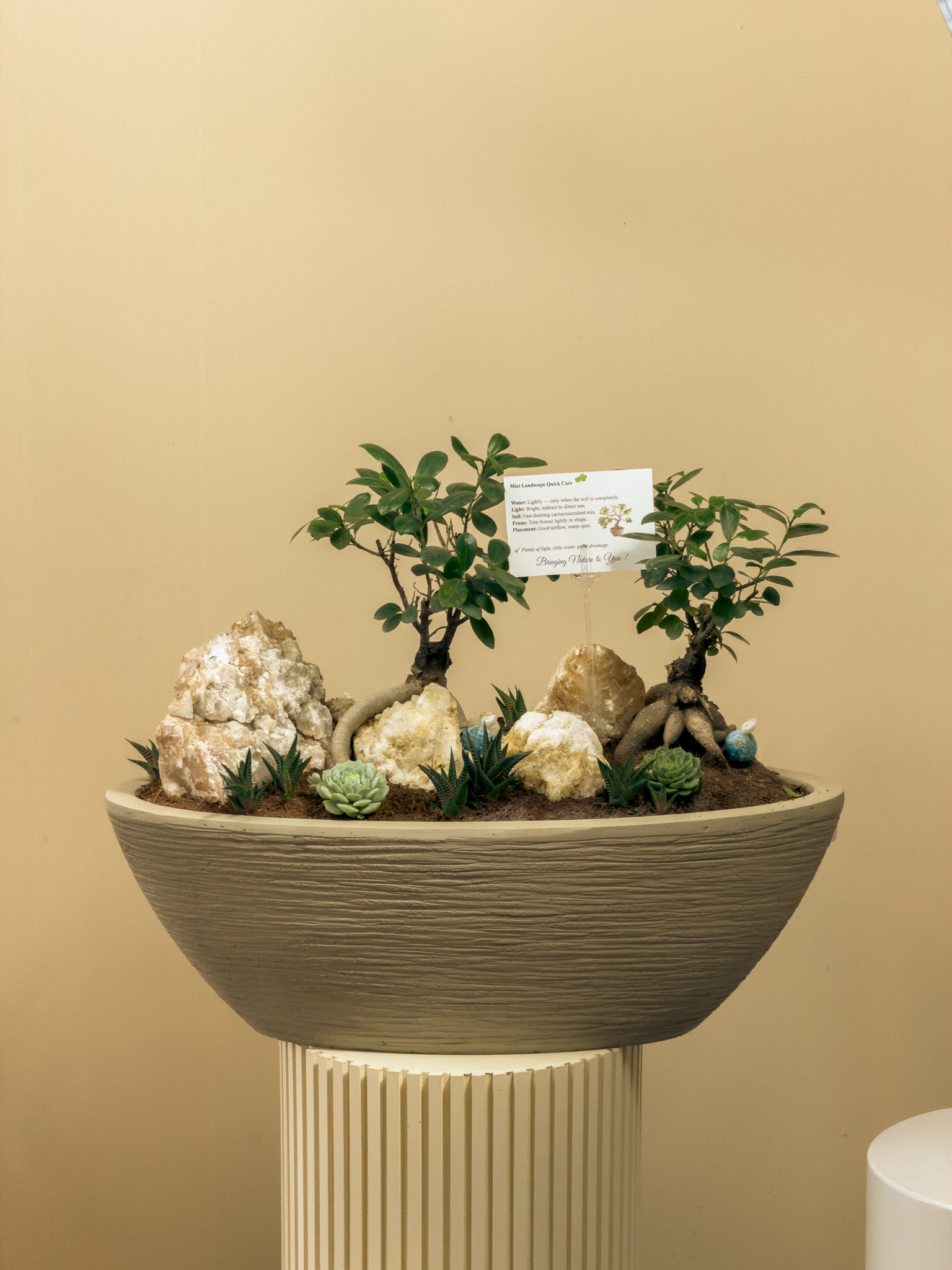 Indoor Plants in Abu Dhabi with PlantsFactory