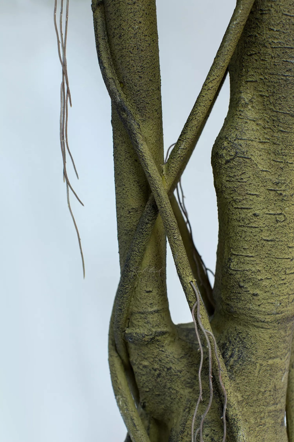 Artificial Ficus Benjamina Weeping fig 300cm - Image 2