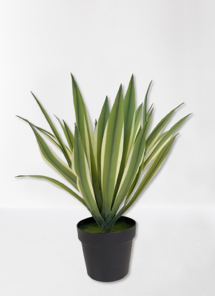 Artificial Yucca Gloriosa 50 cm - Y100001