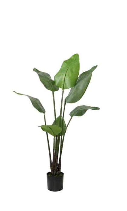 Artificial Srelitzia Nicolai Wild Banana bush