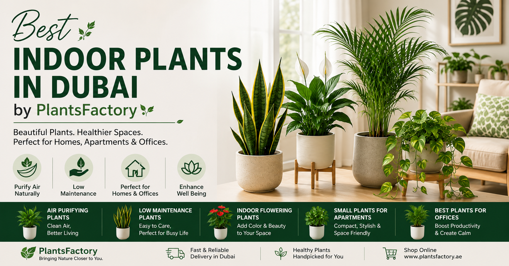 Best indoor plants in Dubai by PlantsFactory featuring air purifying plants, low maintenance indoor plants, small apartment plants, and office plants in a modern UAE home interior.
