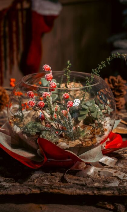 Snowy Globe Succulent Open Terrarium