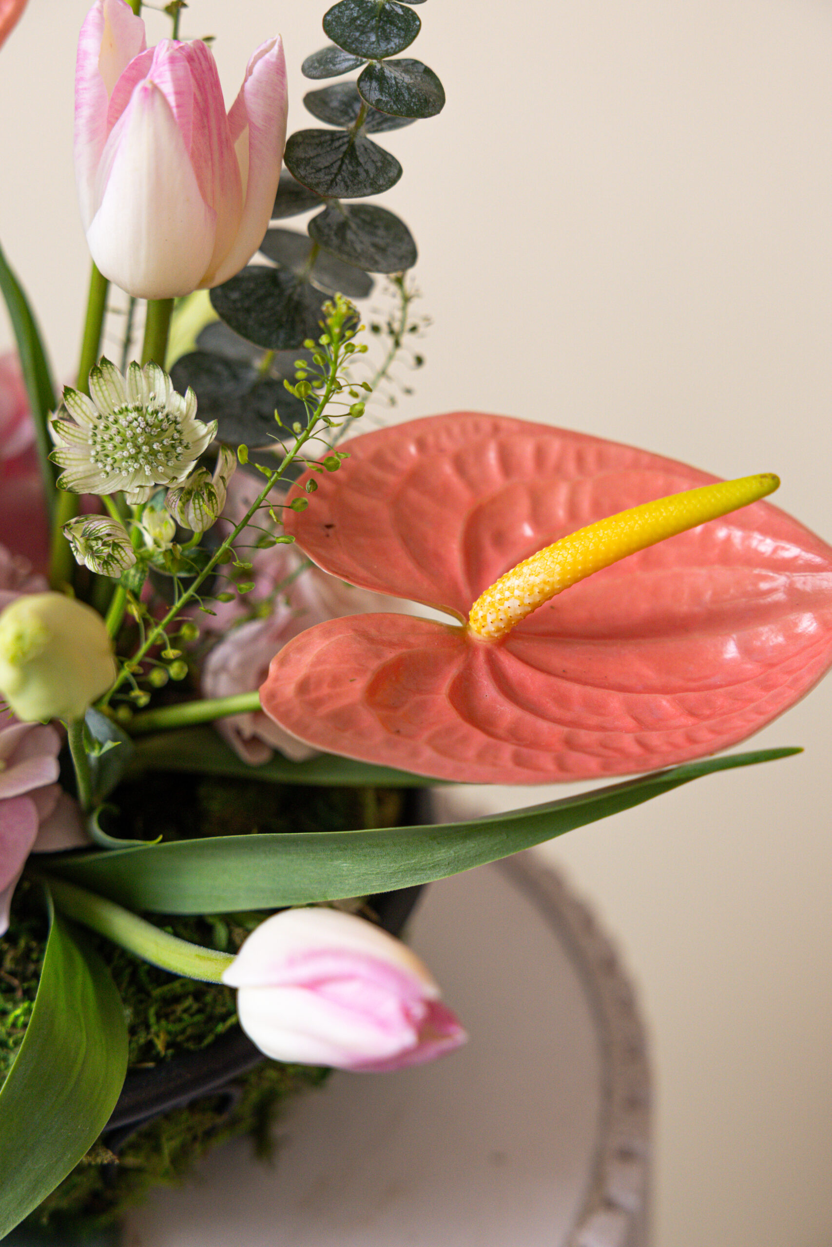 Mom’s Grace - Image 3