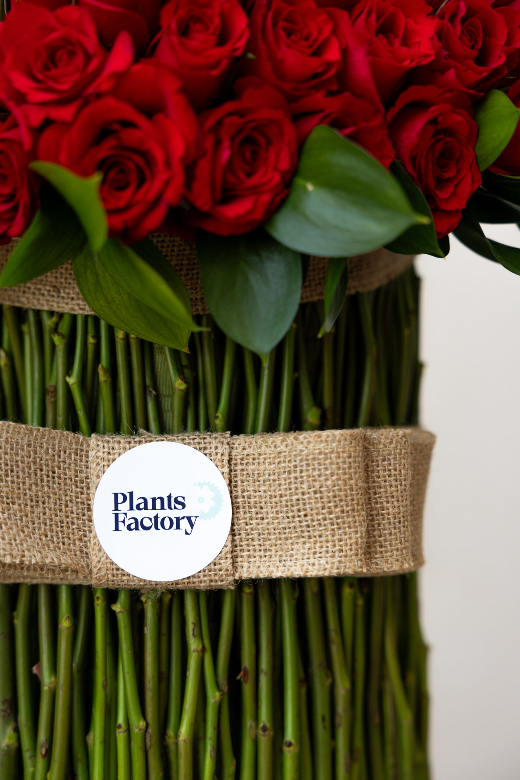 Crimson Heart - Image 2