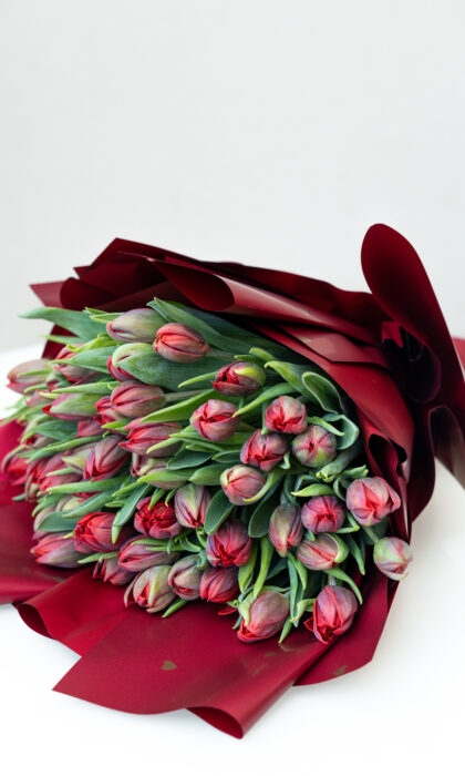 Red Tulip Affair