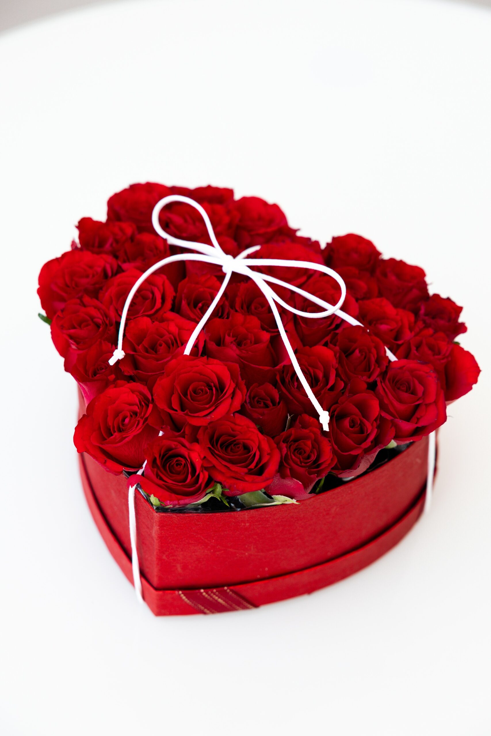 Forever Yours - Image 2