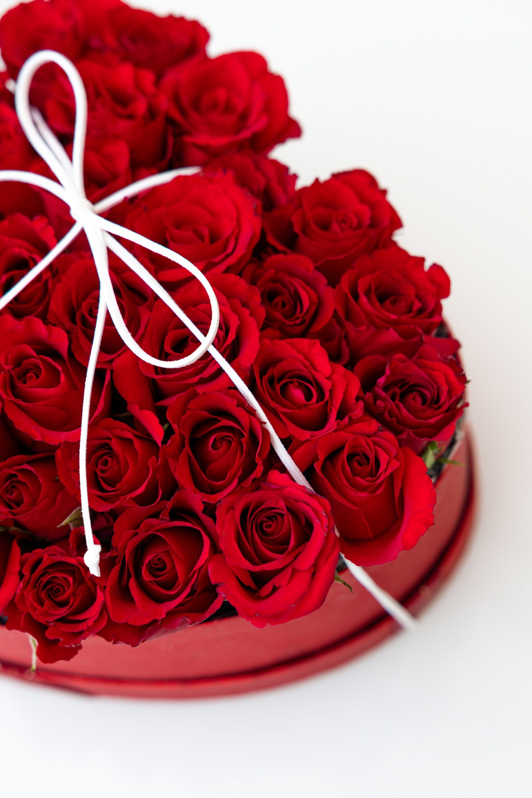 Forever Yours - Image 3