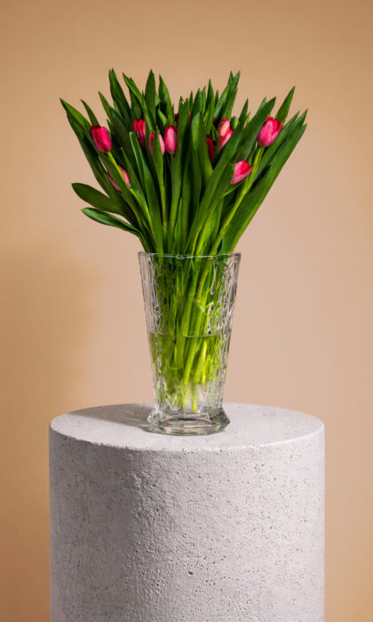 Blushing Tulip Vase
