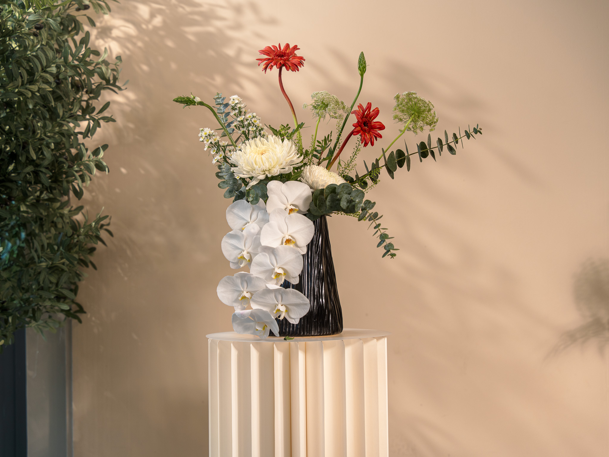 Emirates Harmony Arrangement