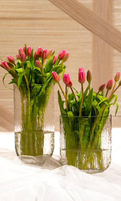 Spring Blush Tulip Duo