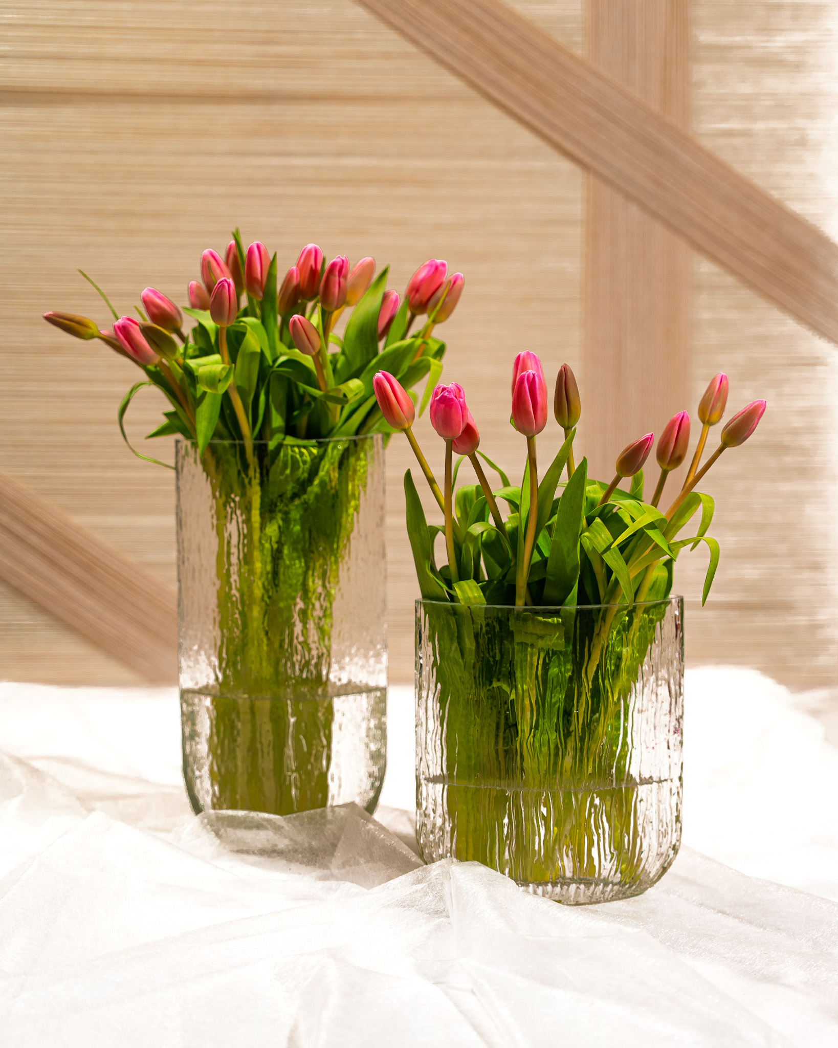 Spring Blush Tulip Duo