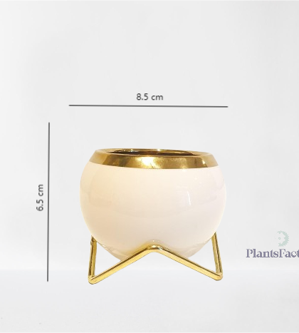 Zayn Ceramic Pot - Pink