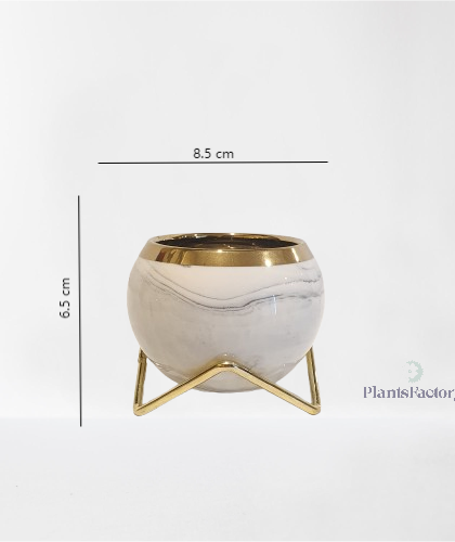 Anna Ceramic Pot - White