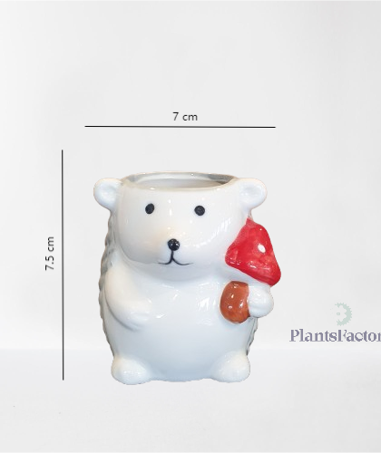 Ceramic Hedgehog Pot