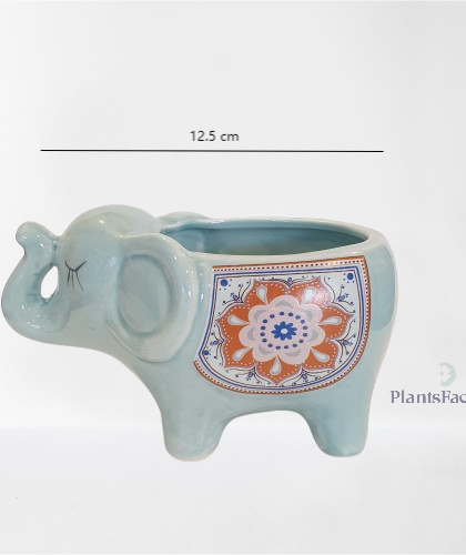 Ceramic Elephant - Light Blue