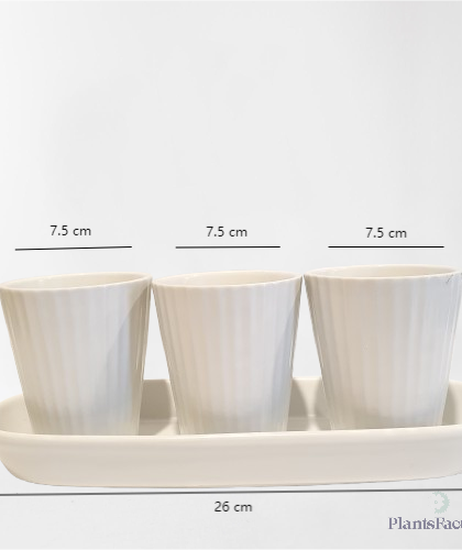 3 White Ceramic Planter Set