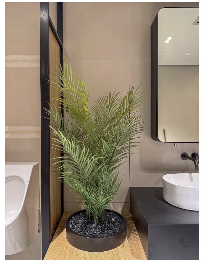 Potted palm plant styled on a wooden ledge in a modern Abu Dhabi bathroom